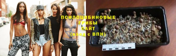 кокаин Ладушкин