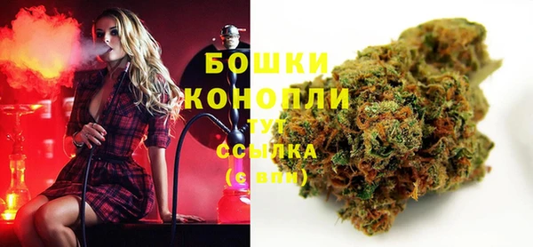 ГАЛЛЮЦИНОГЕННЫЕ ГРИБЫ Новосибирск