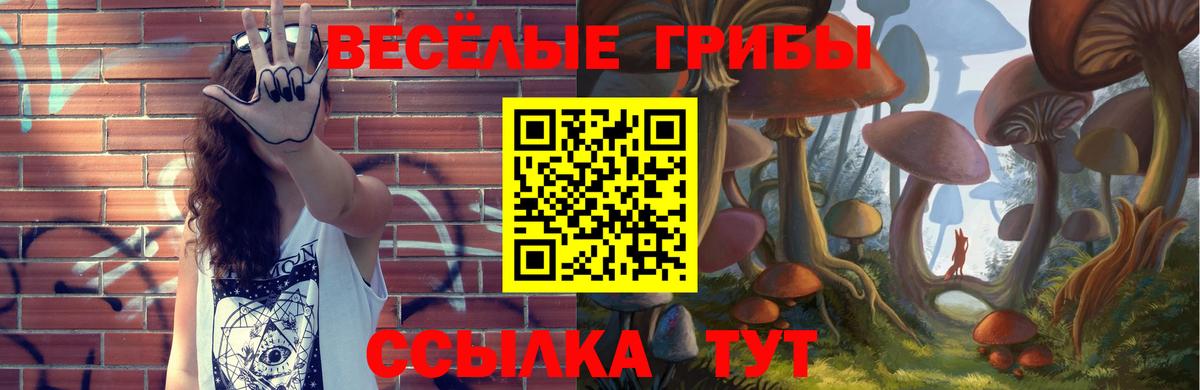 Тамбов  Галлюциногенные грибы Magic Shrooms  где купить   Вход с VPN 